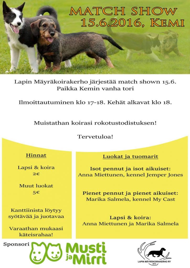 Kemi mätsäri mainos